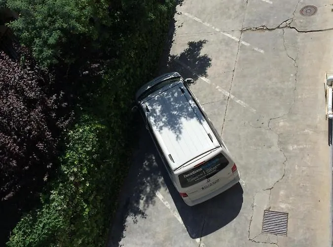 88 - Free Parking